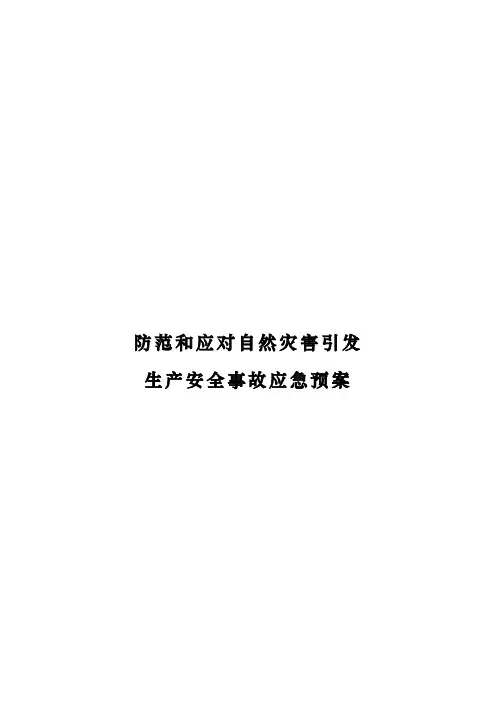 防范和应对自然灾害引发生产安全事故应急预案