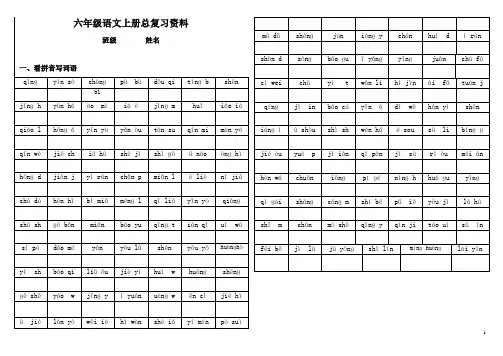 部编人教版小学六年级上册语文总复习资料 75页
