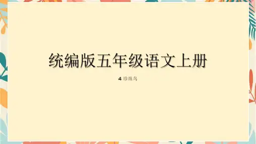 统编版五年级语文上册4珍珠鸟课件(共24张PPT)