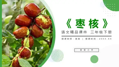 《枣核》小学三年级语文下册第八单元精品PPT课件