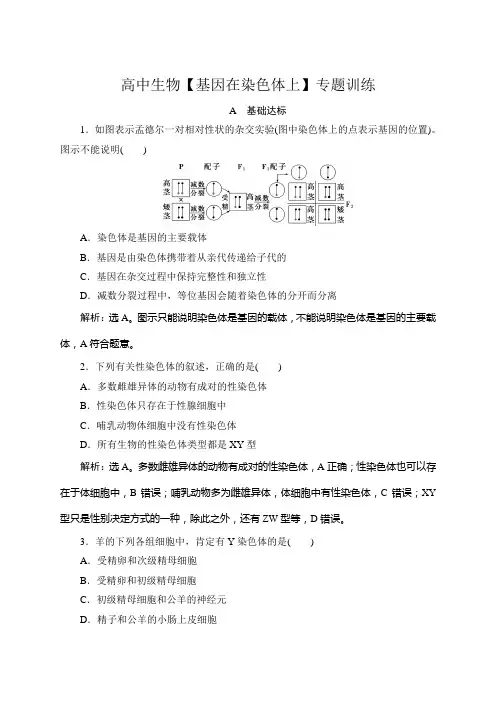 高中生物【基因在染色体上】专题训练