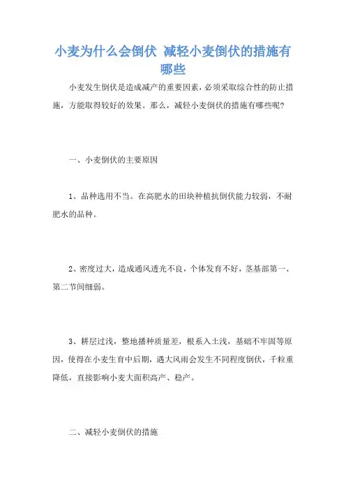 小麦为什么会倒伏 减轻小麦倒伏的措施有哪些