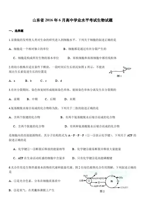 高中学业水平考试生物试题及答案