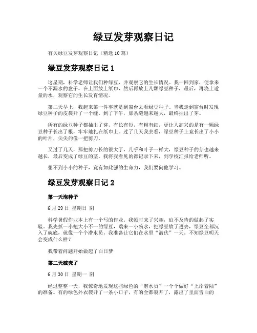 绿豆发芽观察日记