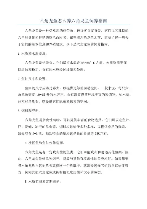 六角龙鱼怎么养六角龙鱼饲养指南