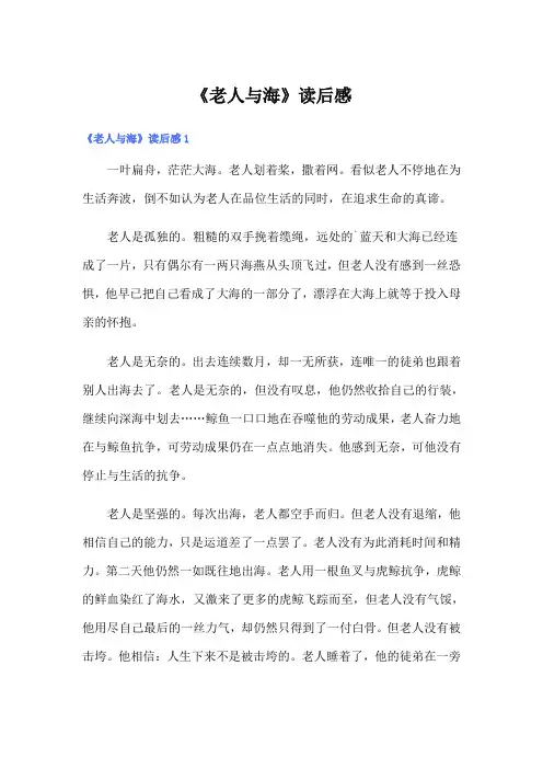 《老人与海》读后感(word版)