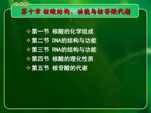 10 核酸结构、功能与核苷酸代谢