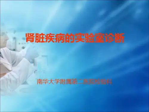 第九章 肾脏疾病的生物化学检验详解