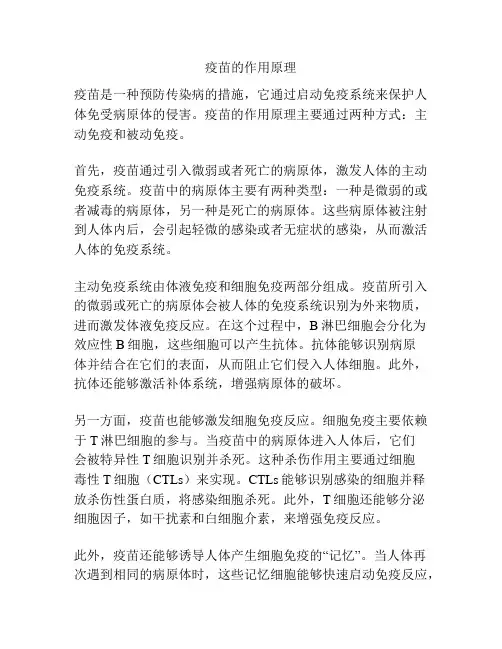 疫苗的作用原理