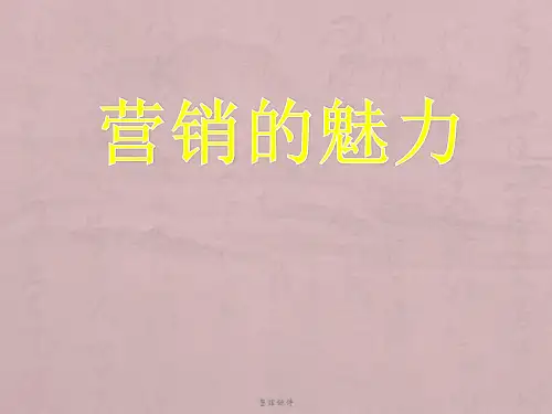 《营销的魅力》