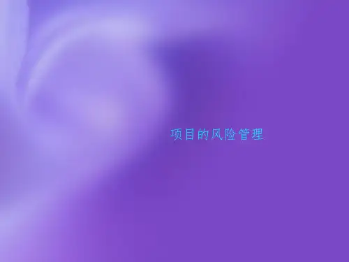项目的风险管理PPT课件