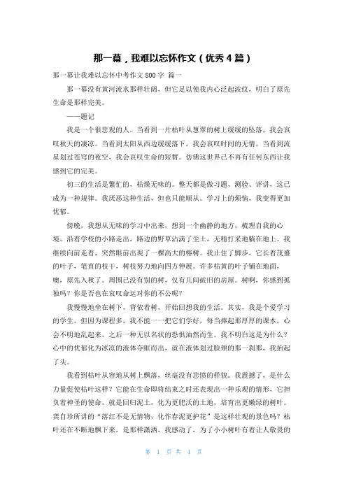 那一幕,我难以忘怀作文(优秀4篇)