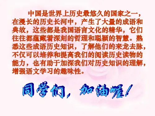 成语主题活动课知识