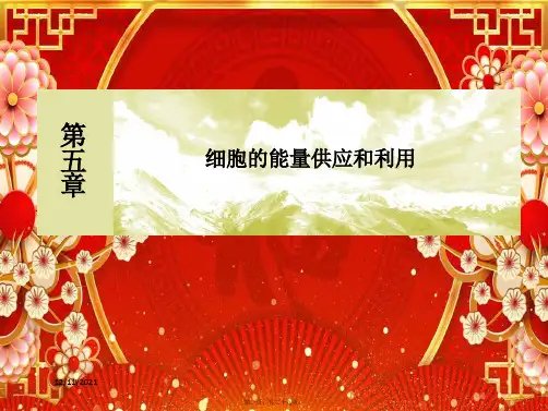 高中生物 第5章 细胞的能量供应和利用 541 捕获光能的色素和结构课件高一必修1生物课件