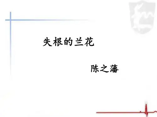 《失根的兰花》课件1-优质公开课-鲁教六下精品