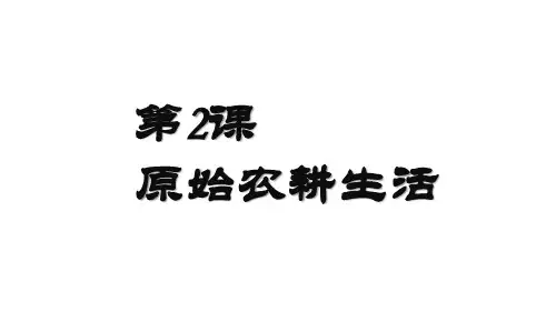 人教部编版七年级历史上册第2课 原始农耕生活课件 (共25张PPT)
