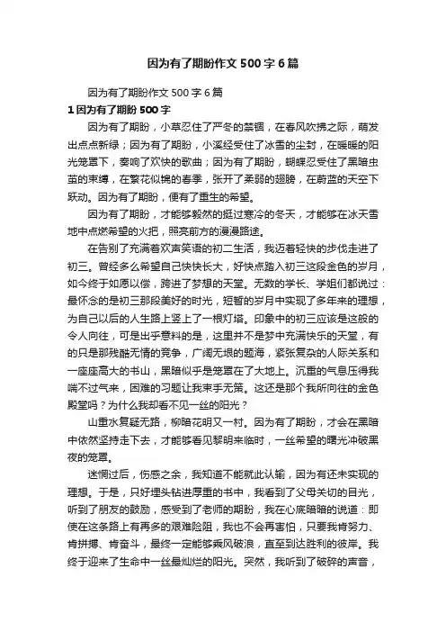 因为有了期盼作文500字6篇