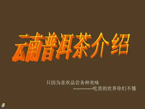云南特产普洱茶介绍PPT