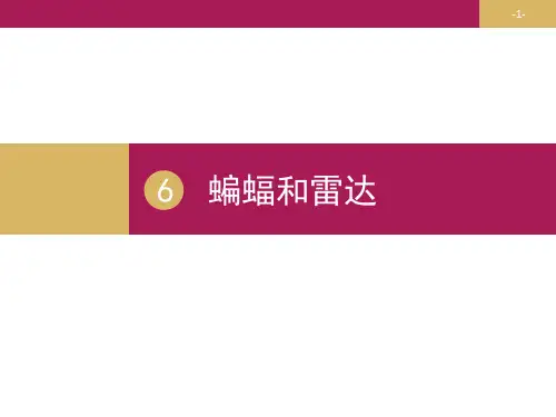 蝙蝠和雷达  课件(共20张PPT)