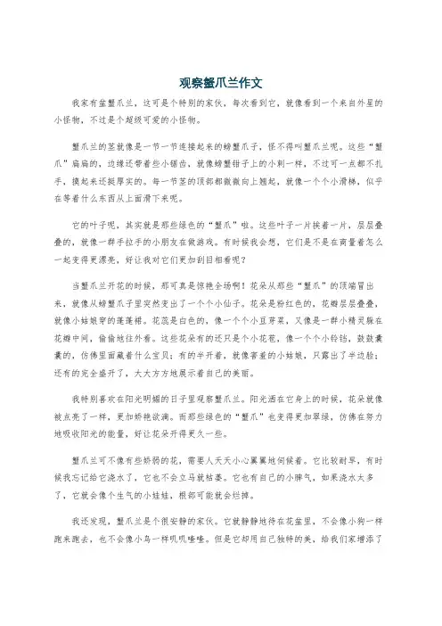 观察蟹爪兰作文