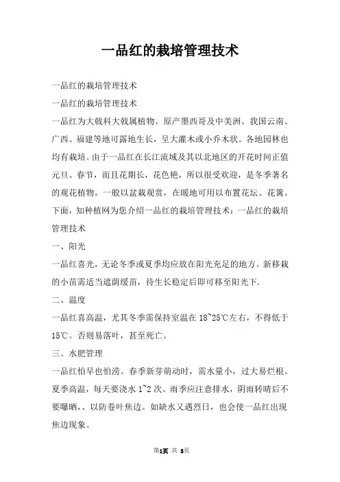 一品红的栽培管理技术