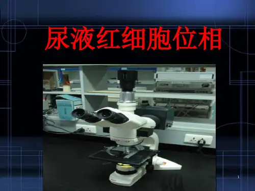 尿液红细胞位相医学PPT课件