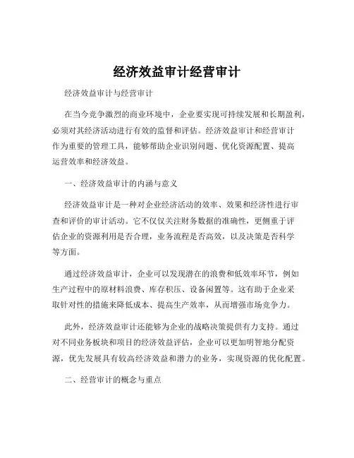 经济效益审计经营审计