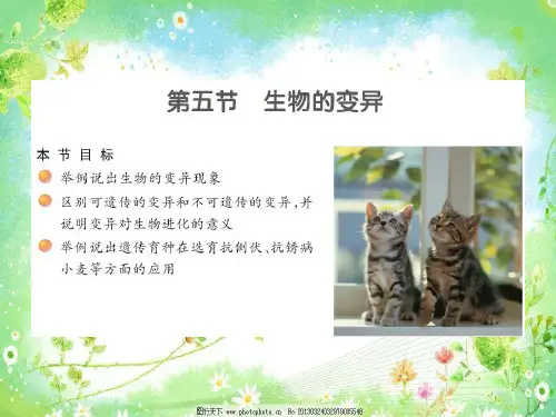 生物的变异