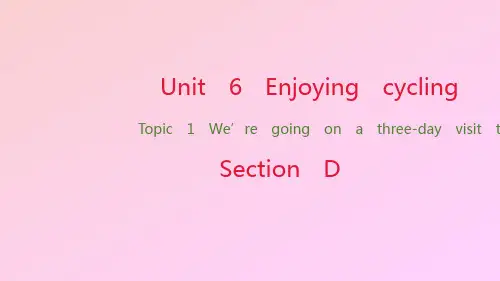 【课件】仁爱版八年级下册Unit 6 Topic 1 Section D 课件 (22张)