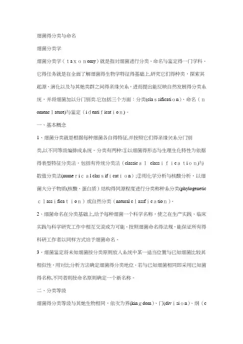 细菌的分类与命名-微生物命名规则