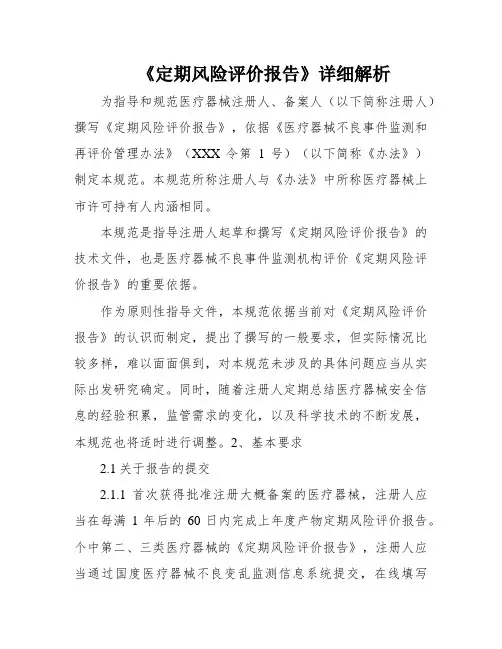 《定期风险评价报告》详细解析