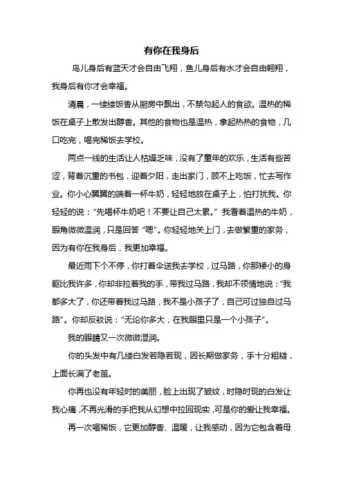 初三作文：有你在我身后作文600字
