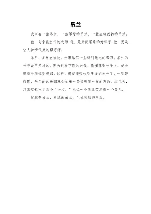 三年级描写《吊兰》的作文3篇