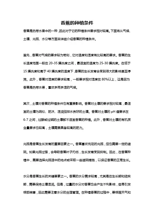 香蕉的种植条件
