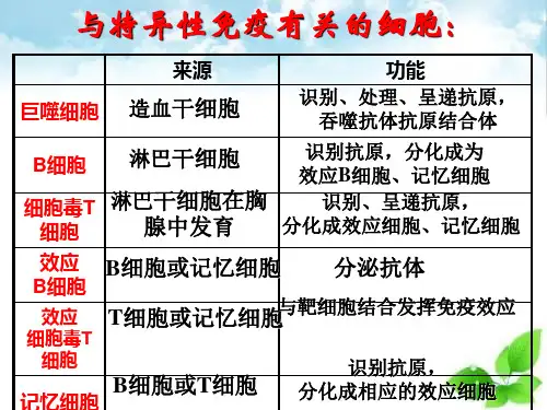 免疫失调引起的疾病ppt课件自制