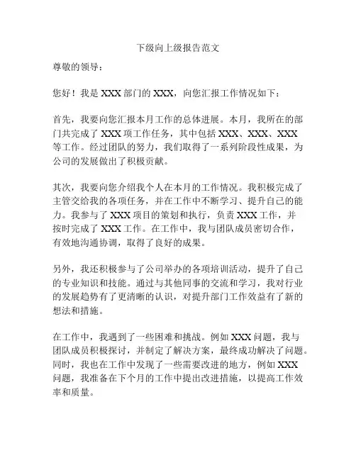 下级向上级报告范文