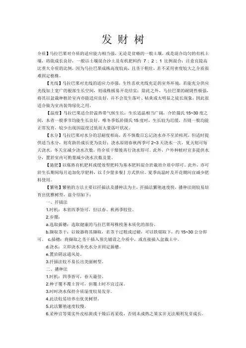 发财树资料