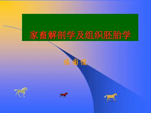 淋巴系统