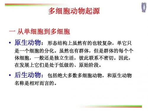 03-1.海绵动物