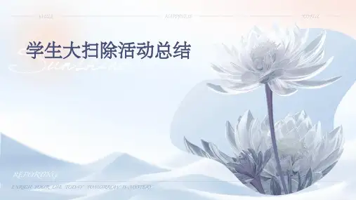 学生大扫除活动总结PPT