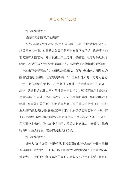 博美小狗怎么教--怎么训练博美？