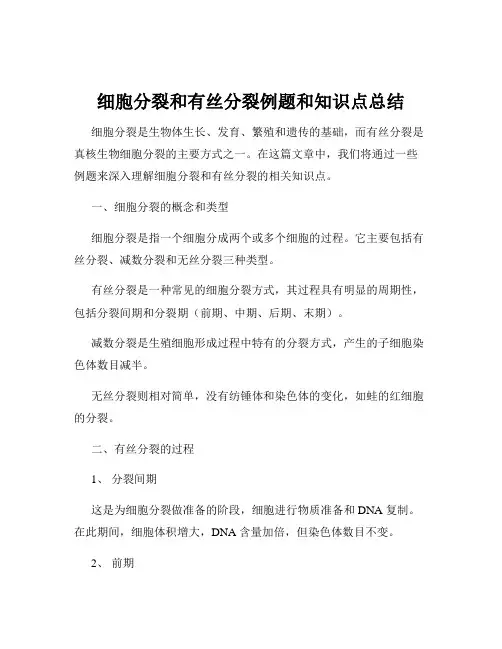 细胞分裂和有丝分裂例题和知识点总结