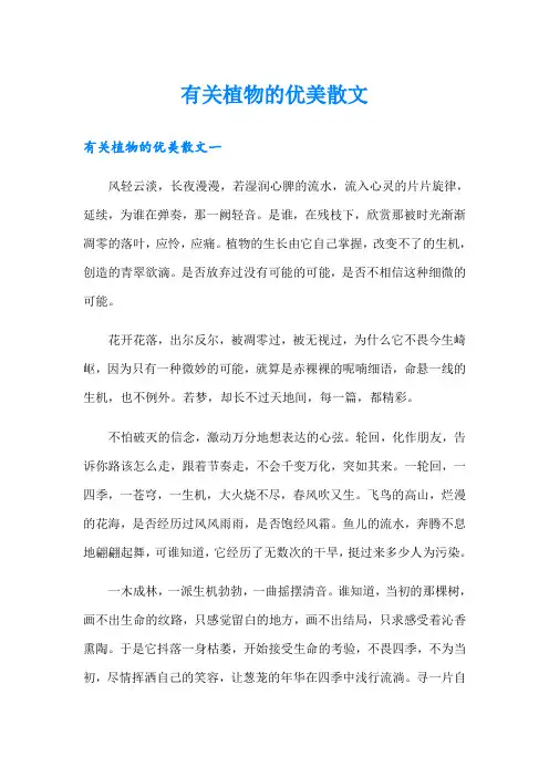 有关植物的优美散文