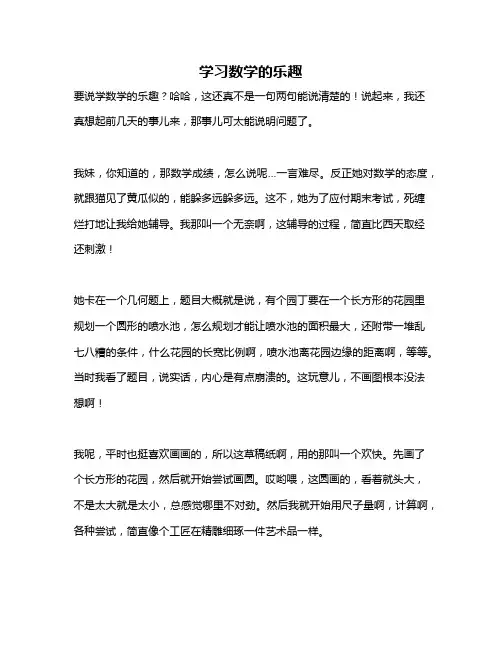 作文《学习数学的乐趣》