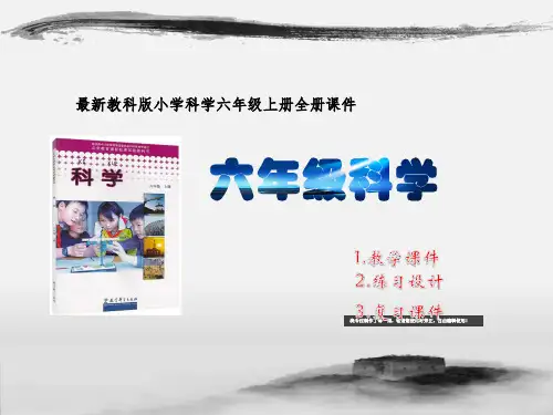 小学六年级科学上册教科版全册完整课件(最新版)