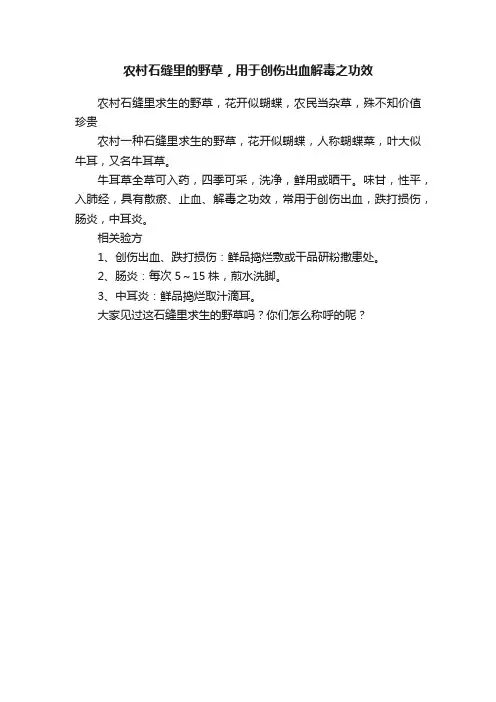农村石缝里的野草，用于创伤出血解毒之功效