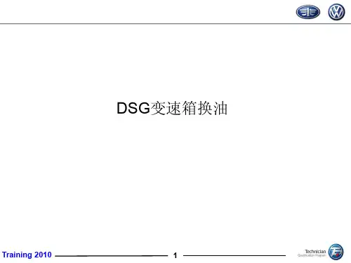 DSG专项培训3
