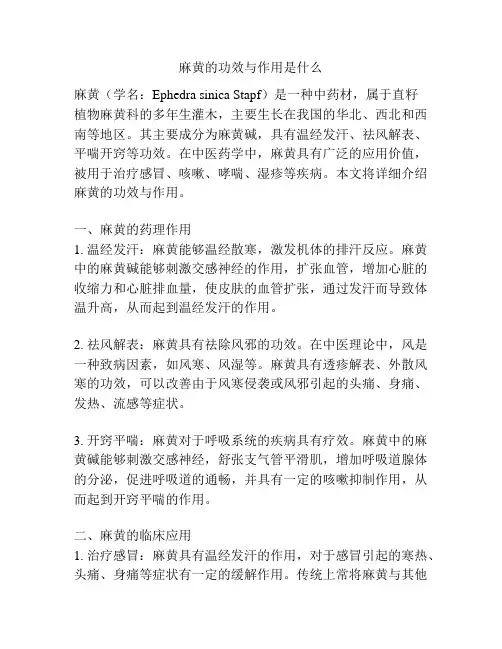 麻黄的功效与作用是什么