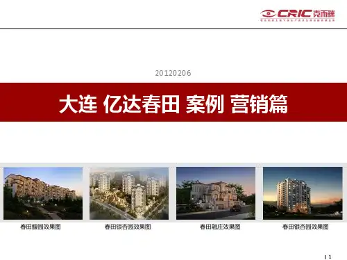 中房信-大连亿达春田营销案例