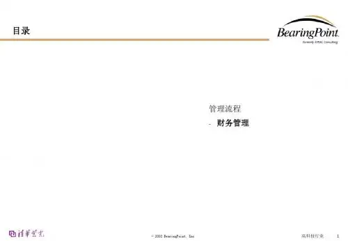 毕博清华紫光财务管理流2002